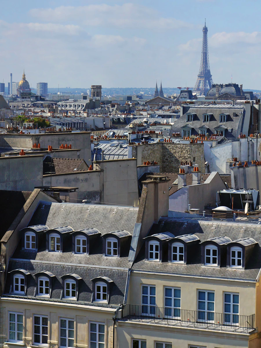 I tetti di Parigi con la Tour Eiffel
